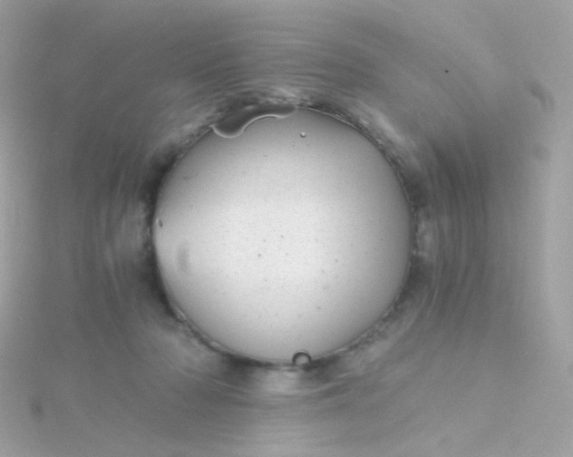 X0000115680318200911251757