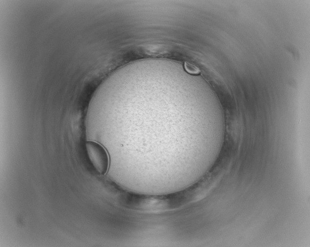 X0000115680319200911251757