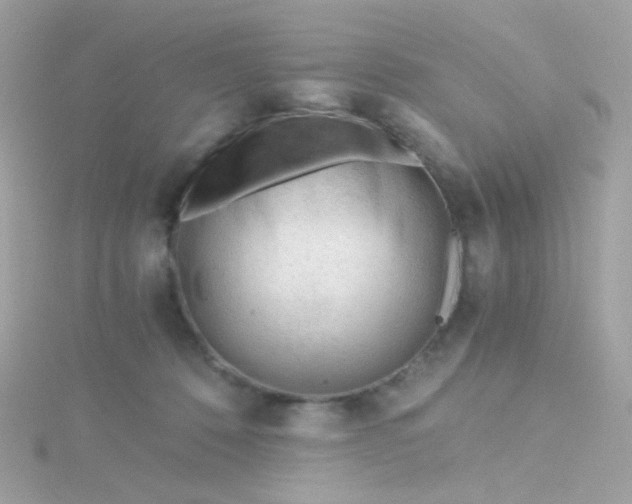 X0000115680320200911251757