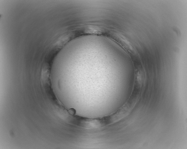 X0000115680322200911251757