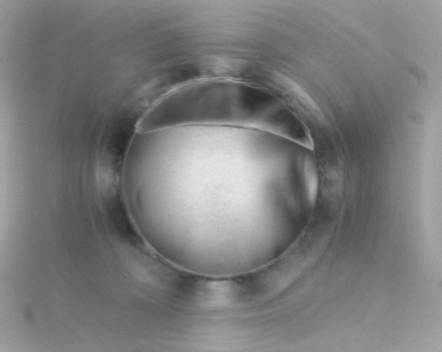 X0000115680324200911251757