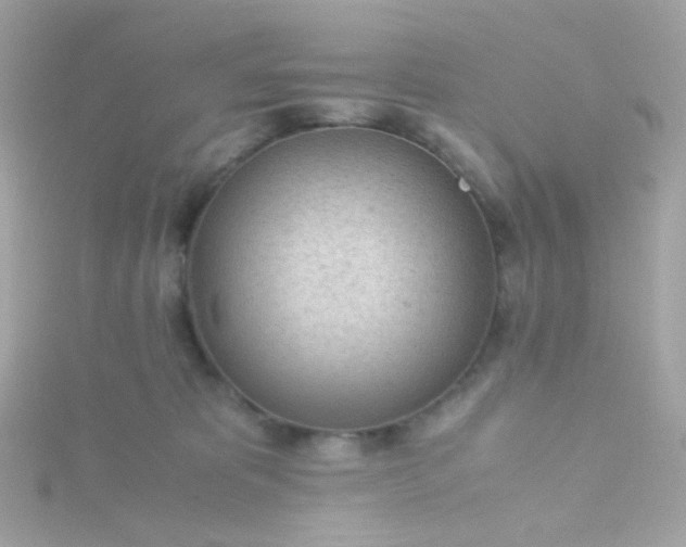 X0000115680325200911251757