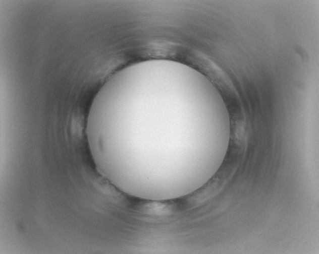 X0000115680326200911251757