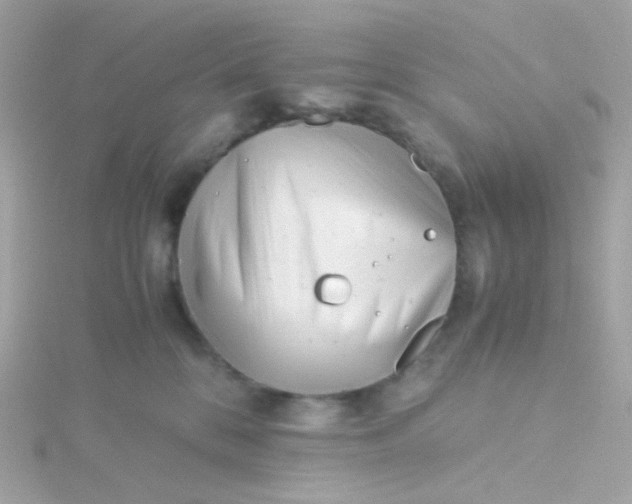 X0000115680328200911251757