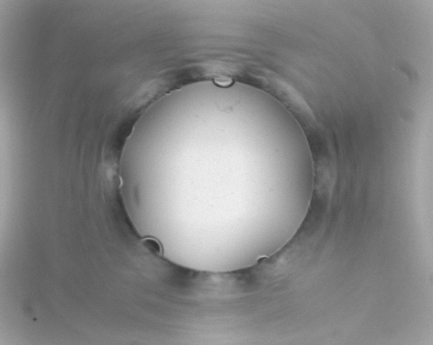 X0000115680329200911251757