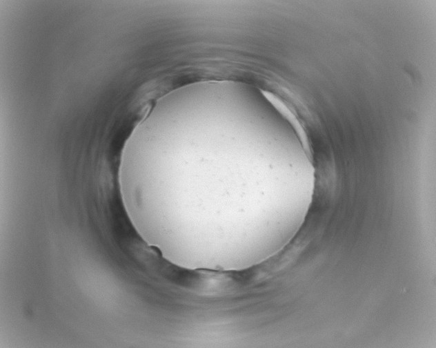 X0000115680333200911251757