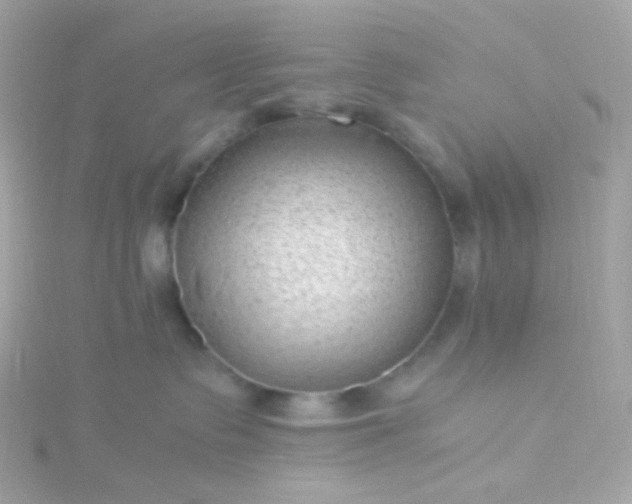 X0000115680335200911251757