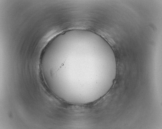 X0000115680338200911251756