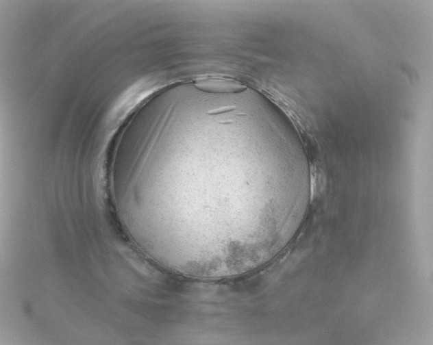 X0000115680339200911251756