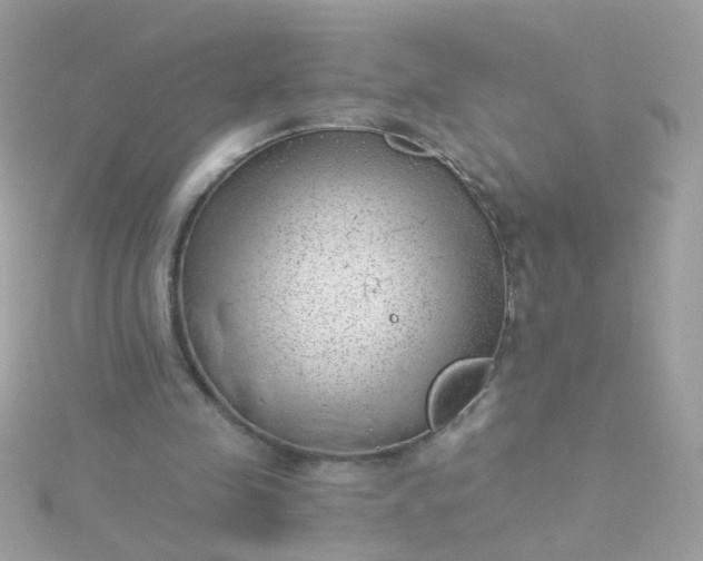 X0000115680341200911251756