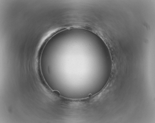 X0000115680342200911251756