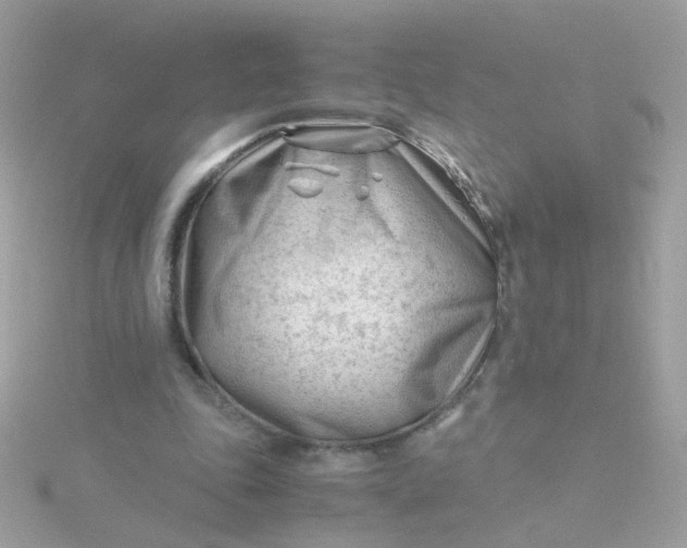 X0000115680343200911251756