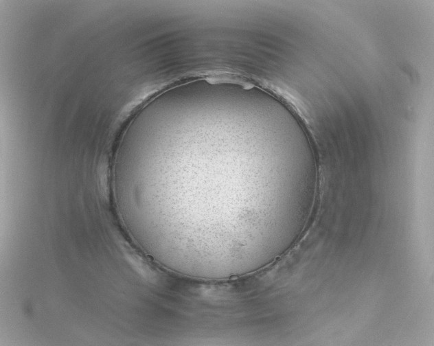 X0000115680345200911251756