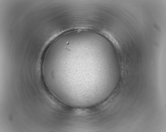 X0000115680346200911251756