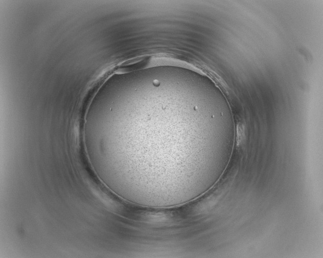 X0000115680349200911251756