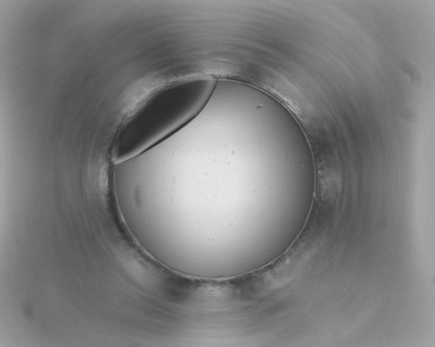 X0000115680350200911251756