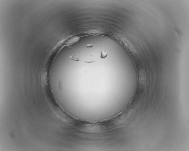 X0000115680351200911251756