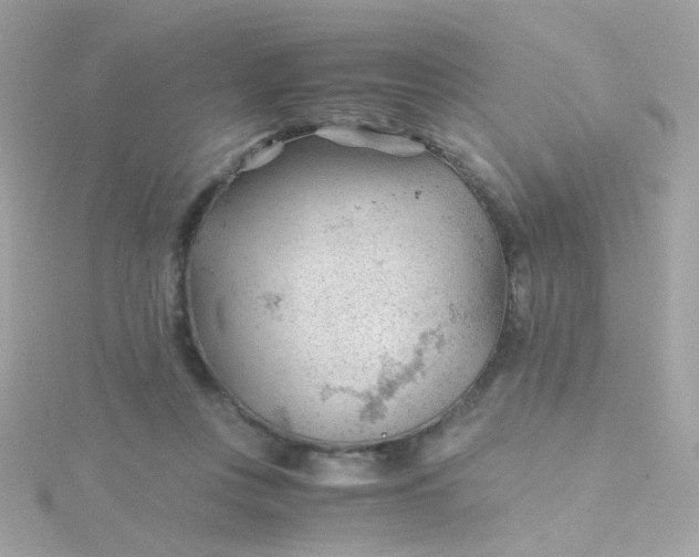 X0000115680359200911251757