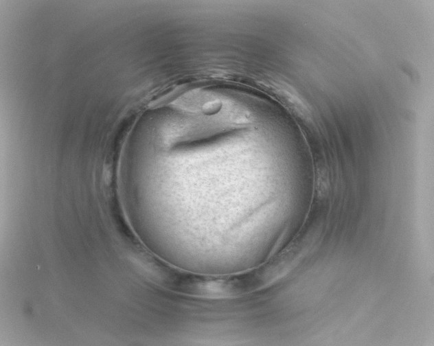 X0000115680365200911251757