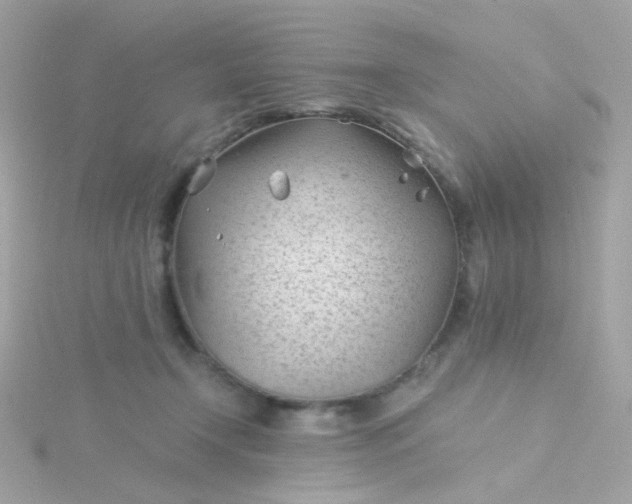 X0000115680366200911251757