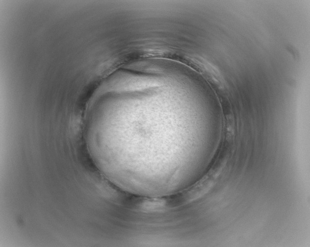 X0000115680369200911251757