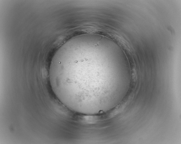 X0000115680371200911251757