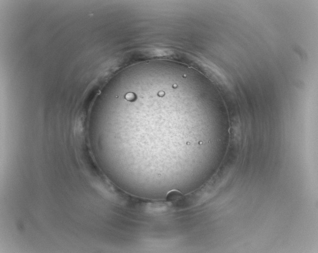 X0000115680373200911251757