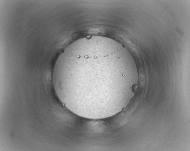 X0000115680375200911251757