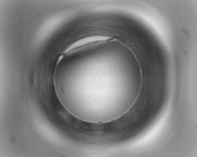 X0000115680382200911251757