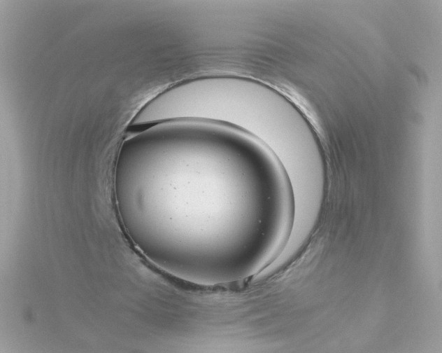 X0000115680385200911251756