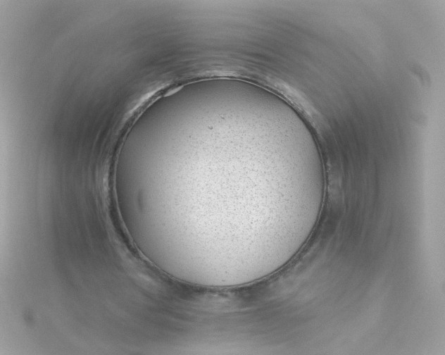 X0000115680386200911251756