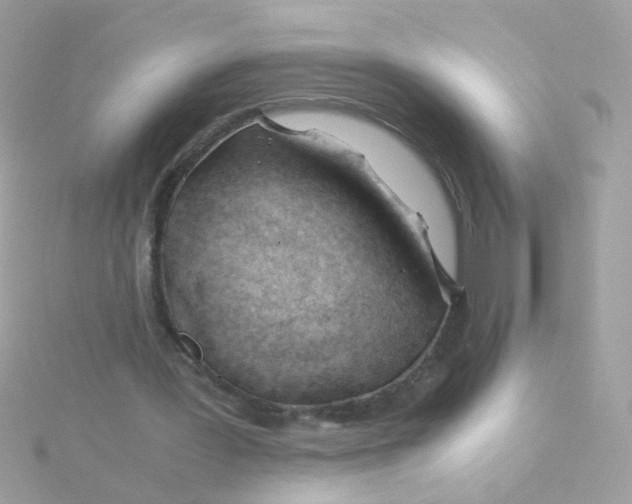 X0000115680387200911251756