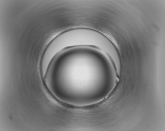 X0000115680389200911251756