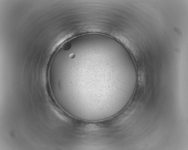 X0000115680390200911251756