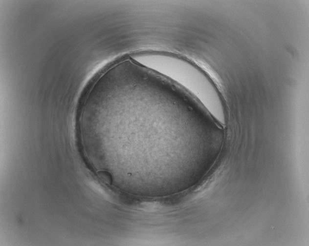 X0000115680391200911251756