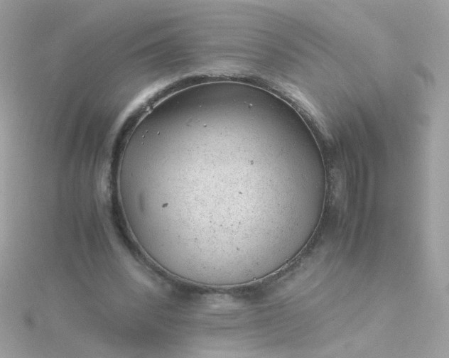 X0000115680392200911251756