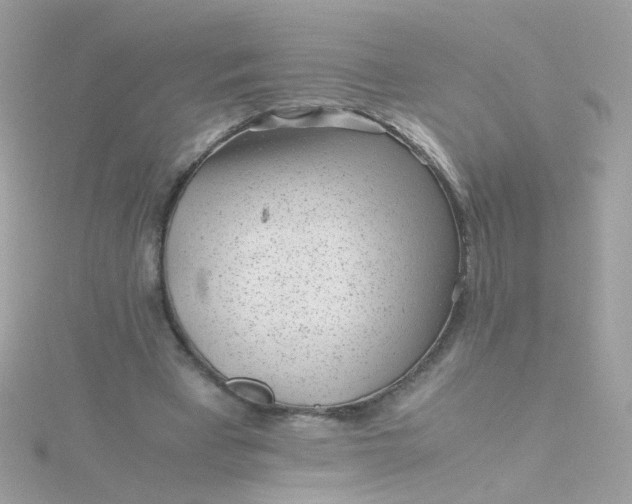 X0000115680393200911251756