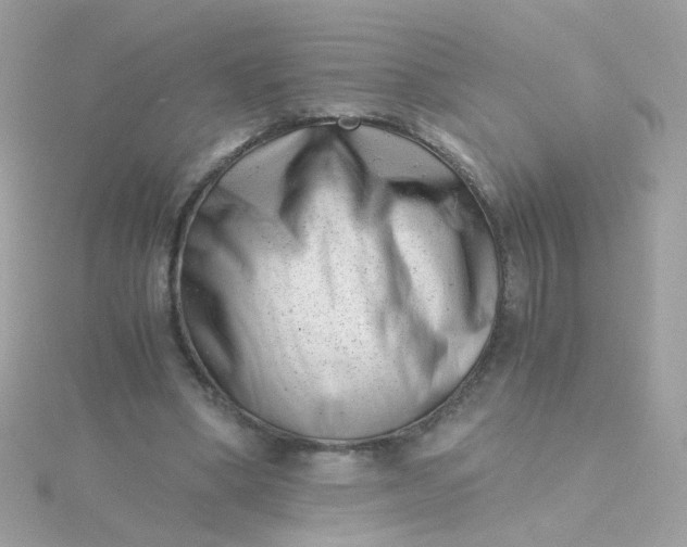 X0000115680394200911251756