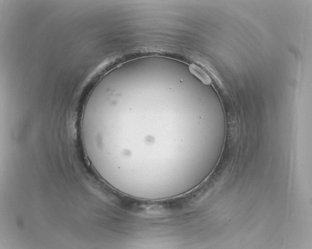 X0000115680395200911251756