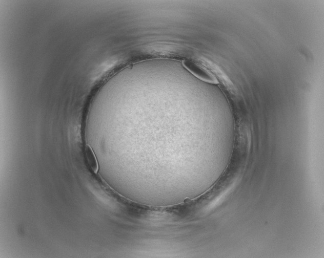 X0000115680399200911251756