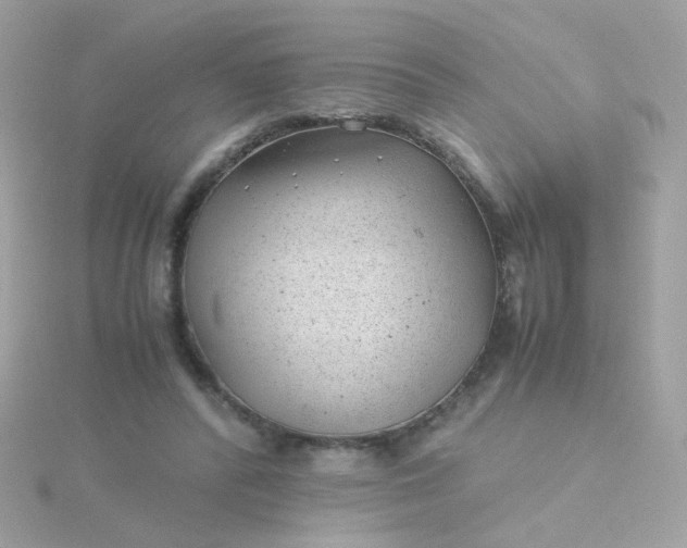 X0000115680400200911251756