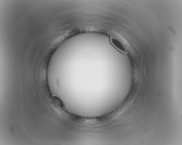 X0000115680401200911251756