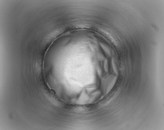 X0000115680402200911251756