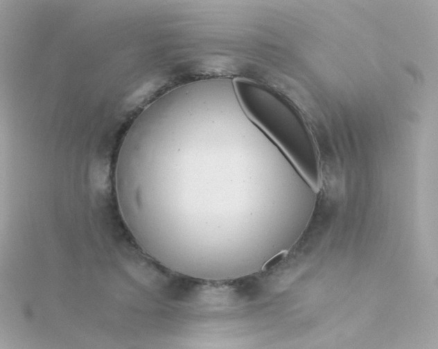 X0000115680403200911251756