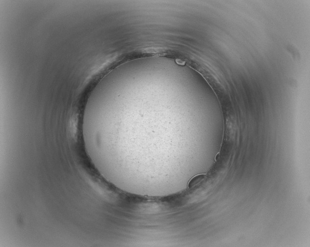 X0000115680404200911251756