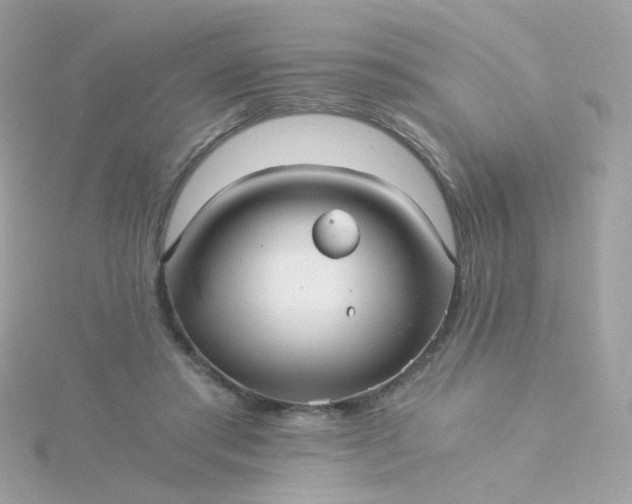 X0000115680405200911251756