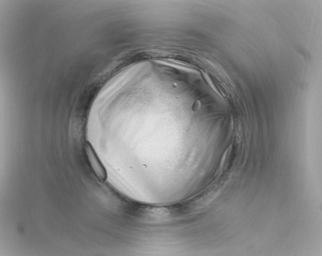 X0000115680409200911251756