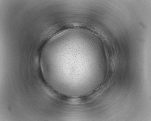 X0000115680410200911251756