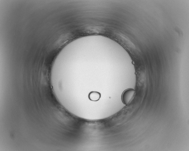 X0000115680414200911251756