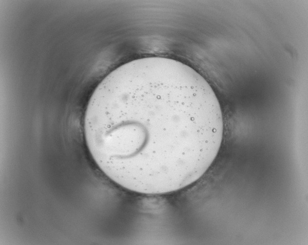 X0000115680415200911251756